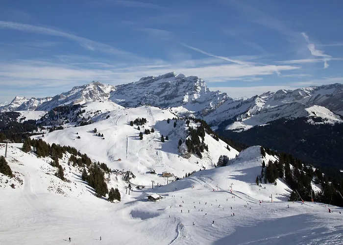 Rhodonite 24 By Interhome Villars-sur-Ollon