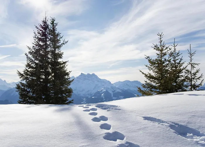 Rhodonite 24 By Interhome Villars-sur-Ollon