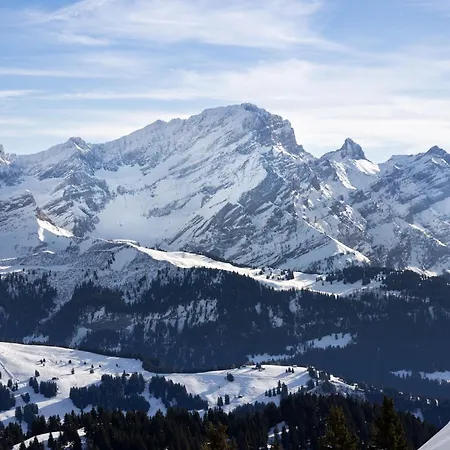 Rhodonite 24 By Interhome Villars-sur-Ollon