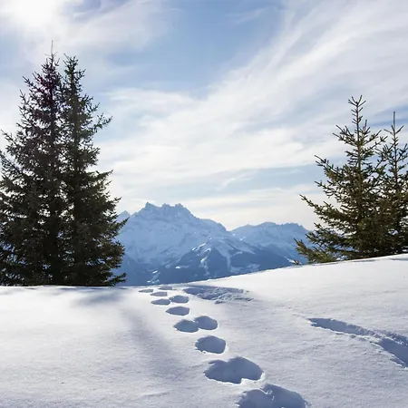 Rhodonite 24 By Interhome Villars-sur-Ollon