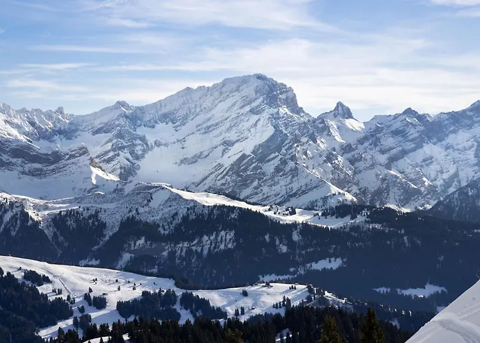 Rhodonite 24 By Interhome Villars-sur-Ollon